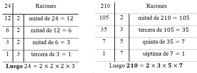 factorización prima